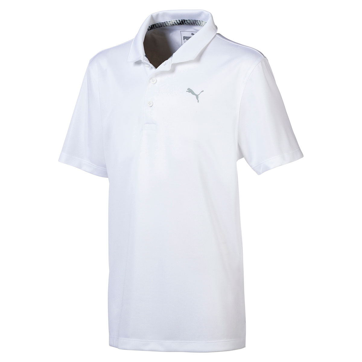 polo puma 